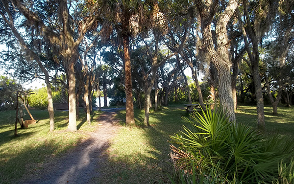 Shaded trail and picnic area at Werner-Boyce Salt Springs State Park in Pasco County, Florida.