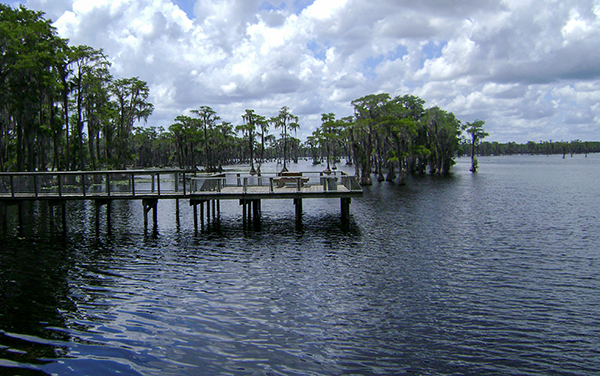Banks Lake National Wildlife Refuge with cypress trees, open water and a boardwalk in Lanier County, Georgia