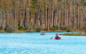 Canoeists enjoying a waterway surrounded by forest in Charlton County, Georgia.
