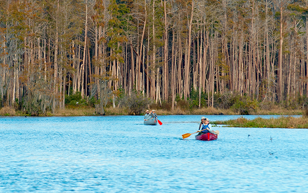 Canoeists enjoying a waterway surrounded by forest in Charlton County, Georgia.