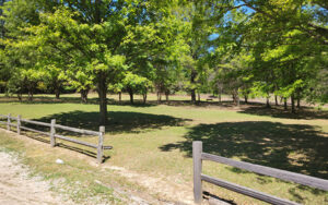 Open green space and trees at Chattahoochee Park in Chattahoochee County, Georgia.