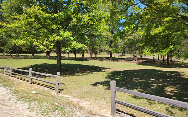 Open green space and trees at Chattahoochee Park in Chattahoochee County, Georgia.