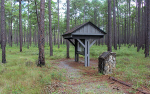 Trailhead shelter in the pine forest at Doerun Pitcherplant Bog Wildlife Management Area in Colquitt County, Georgia