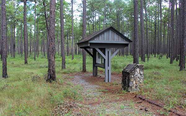Trailhead shelter in the pine forest at Doerun Pitcherplant Bog Wildlife Management Area in Colquitt County, Georgia