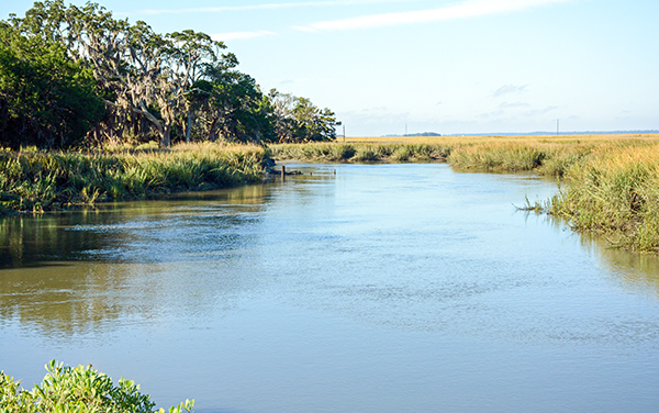 Duplin River flowing through coastal salt marsh beside Sapelo Island in McIntosh County, Georgia