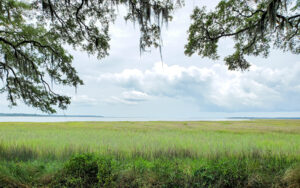 Salt marsh and coastal water framed by live oak branches at Fort Morris in Liberty County, Georgia