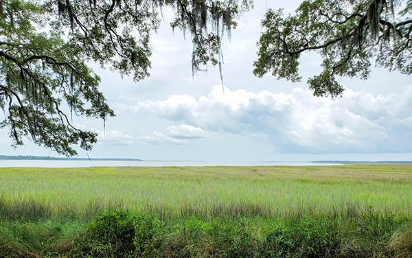 Salt marsh and coastal water framed by live oak branches at Fort Morris in Liberty County, Georgia