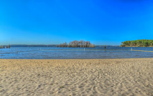 Sandy beach and lake at George T. Bagby State Park near Fort Gaines in Clay County, Georgia.