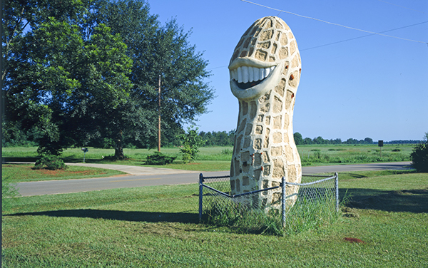 Giant smiling peanut roadside landmark beside Highway 49 in Plains, Sumter County, Georgia