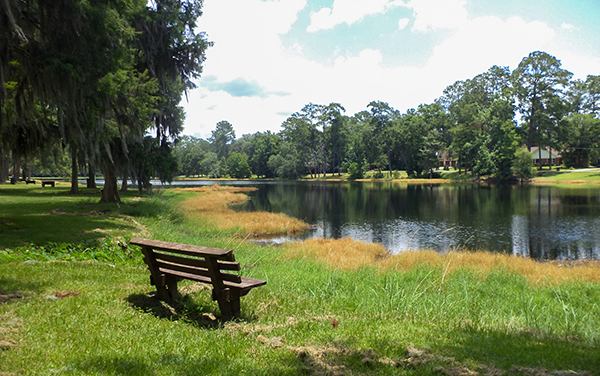 Wooden bench overlooking Lake Irma beneath mature trees in Lakeland, Lanier County, Georgia