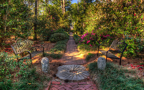 Landscaped pathway with benches and flowering plants at Massee Lane Gardens in Peach County, Georgia, featured by Bliss Products and Services
