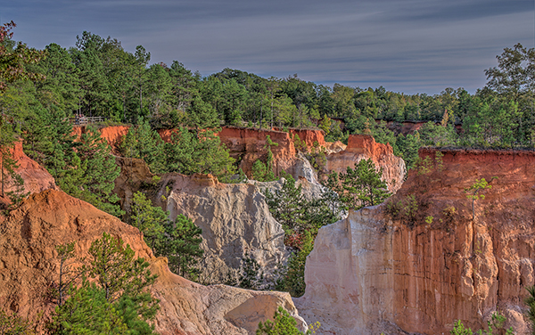 Colorful canyon walls and pine trees at Providence Canyon State Park in Stewart County, Georgia, featured by Bliss Products and Services