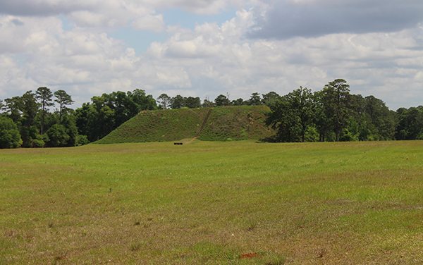 Temple Mound rising above open grassland at Kolomoki Mounds State Park in Early County, Georgia