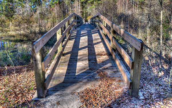 Wooden walking bridge at George T. Bagby State Park near Fort Gaines in Clay County, Georgia.