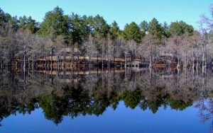 Watson Pond reflecting cypress trees at George L. Smith State Park in Emanuel County, Georgia