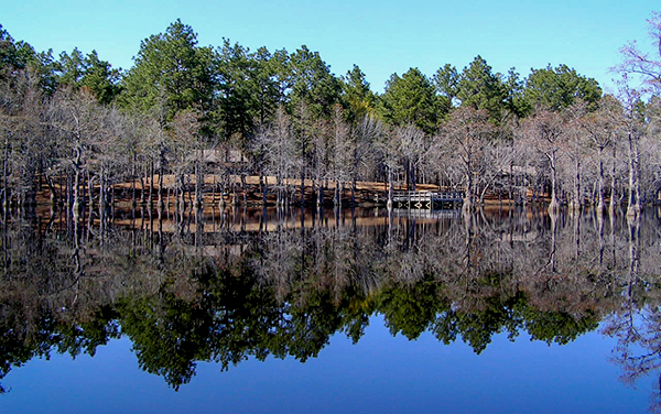 Watson Pond reflecting cypress trees at George L. Smith State Park in Emanuel County, Georgia