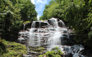 Amicalola Falls State Park waterfall and trail area in Dawson County, Georgia