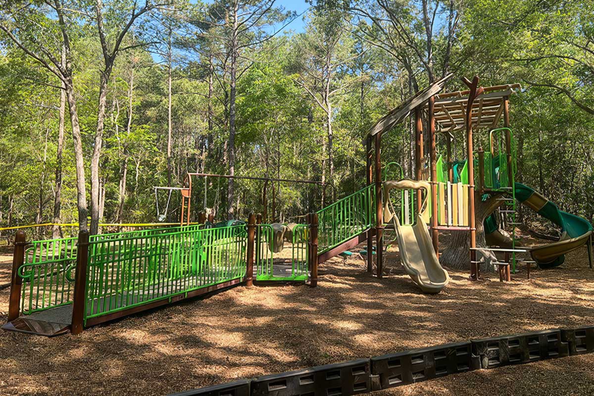 Woodland playground with ramped access at Anderson Creek County Park in Lillington, North Carolina