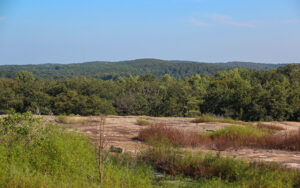 View from Arabia Mountain showing granite outcrop, grasses, trees, and distant forest in DeKalb County, Georgia