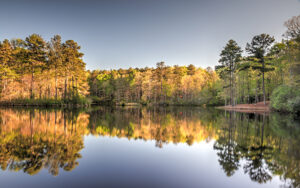 Hamp’s Pond at Dauset Trails Nature Center in Butts County, Georgia