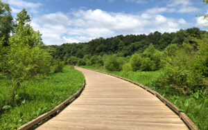 Wooden greenway boardwalk curving through trees and wetlands at George Pierce Park in Suwanee, Georgia