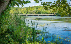 Ocmulgee River with reeds, trees, and a bridge at Monroe County Recreational Park in Georgia