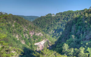 Forested cliffs and deep valley at Tallulah Gorge in northeast Georgia