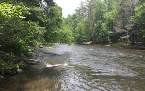 Toccoa River in Fannin County, Georgia, representing trail access, river recreation, picnic areas, seating, shade, and outdoor planning.